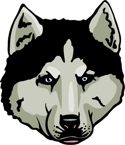 Wolf mascot full color action sports decal. Customize on line. MASCOTS_5C_028