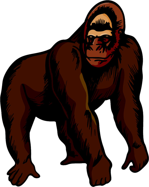 Gorilla mascot full color sports sticker. Personalize on line. MASCOTS_5C_029