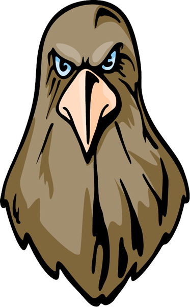 Hawk mascot full color sports decal. Personalize on line. MASCOTS_5C_035