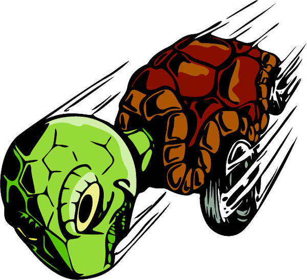 Turtle skateboarding mascot full color sports sticker. Customize on line. MASCOTS_5C_073