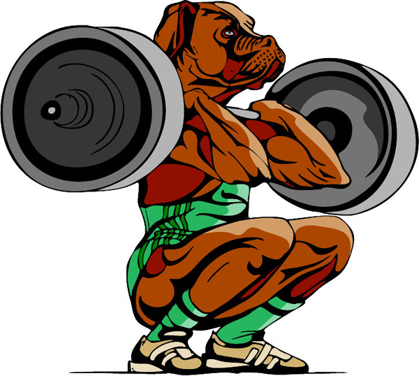 Dog weightlifting mascot full color sports decal. Personalize on line. MASCOTS_5C_100