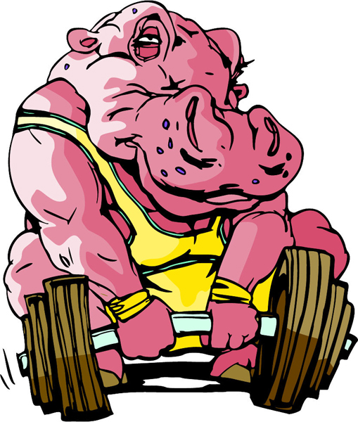 Hippo mascot weight lifter full color sports sticker. Personalize on line. MASCOTS_6C_28