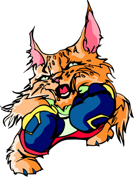 Wildcat boxing mascot full color sports sticker. Personalize on line. MASCOTS_6C_36