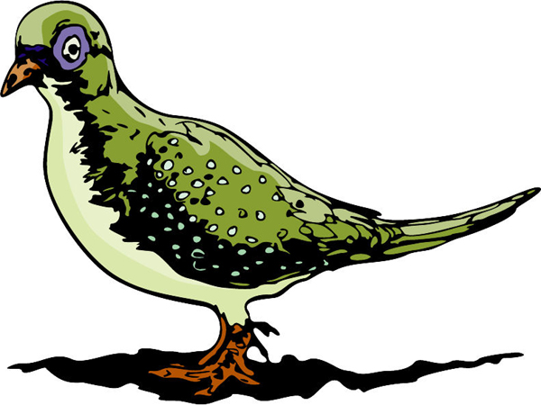 Pigeon mascot full color sports decal. Personalize on line. MASCOTS_6C_74