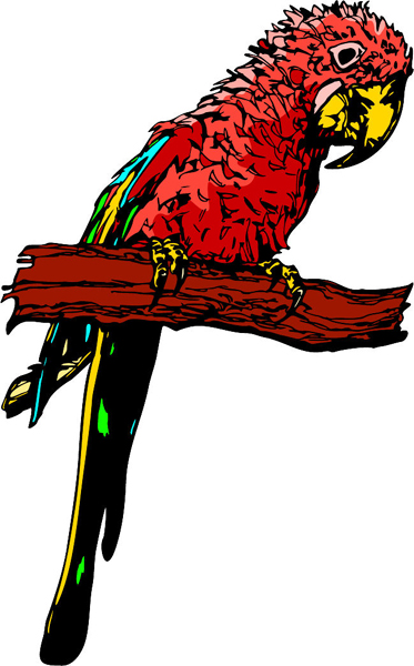 Parrot mascot full color sports decal. Customize on line. MASCOTS_6C_75