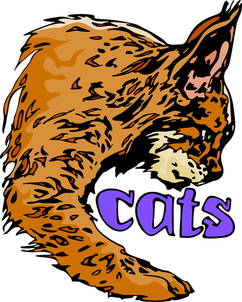 Wildcats mascot with 'cats' lettering full color sports sticker. Personalize on line. MASCOTS_6C_77