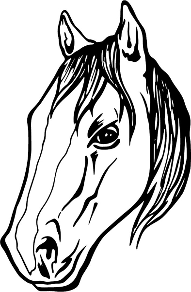 Horse head mascot action sports sticker. Customize on line. MASCOTS_5BL_014