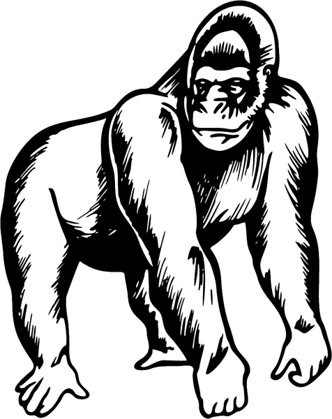Gorilla mascot action sports sticker. Personalize on line. MASCOTS_5BL_029