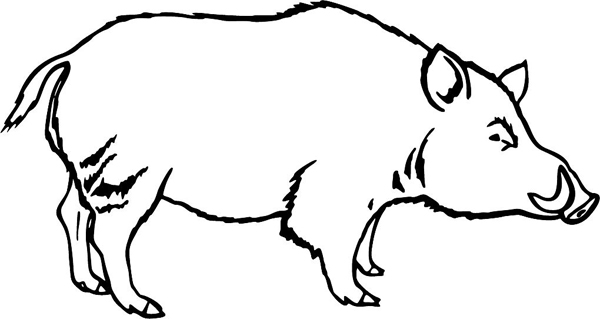 Boar mascot action sports decal. Personalize on line. MASCOTS_5BL_032