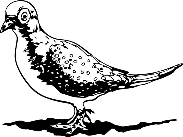 Pigeon mascot action sports decal. Customize on line. MASCOTS_6BL_74