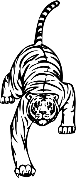 Tiger mascot sports vinyl decal. Personalize on line. animal-mascots-am_006