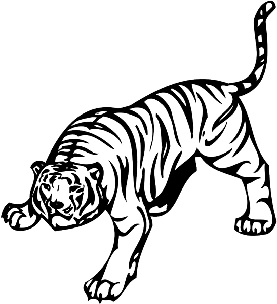 Tiger mascot sports sticker. Personalize on line. animal-mascots-am_010