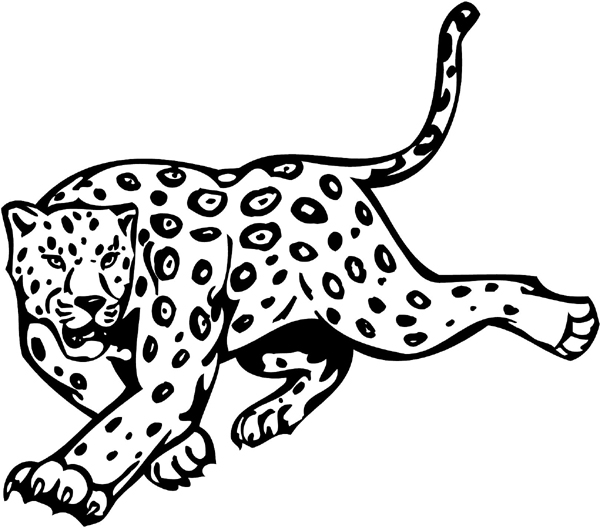 Leopard mascot action sports decal. Personalize on line. animal-mascots-am_011