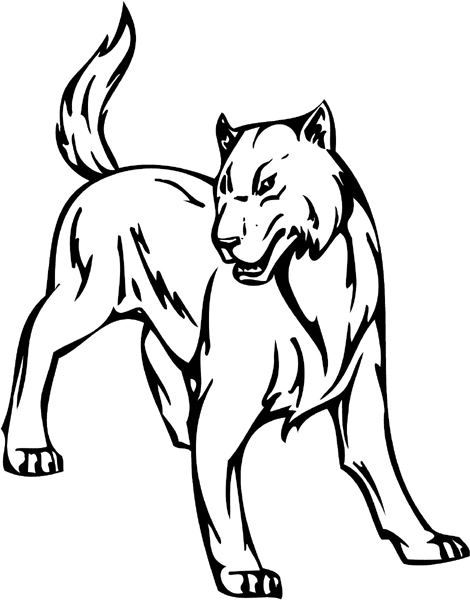 Mountain Lion mascot sports action sticker. Customize on line. animal-mascots-am_024