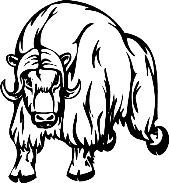 Water Buffalo mascot action sports decal. Personalize on line. animal-mascots-am_034