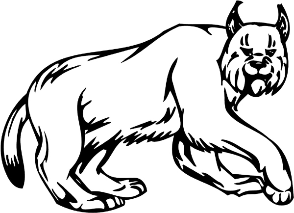 Lynx mascot action sports sticker. Customize on line. animal-mascots-am_045