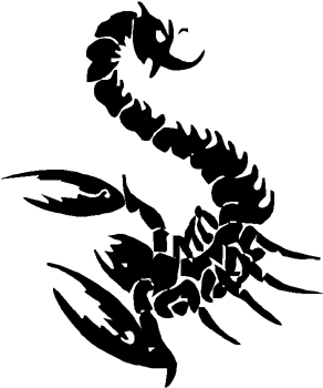 Satın Alın 19cm*19cm SCORPION Vinyl Decal Sticker Car Car Sticker