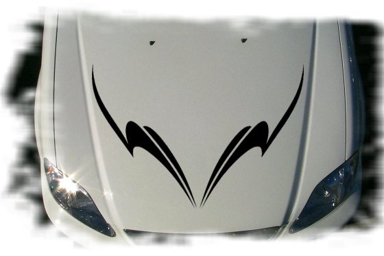 Cool Hood Graphic HS059 Upsweep Design