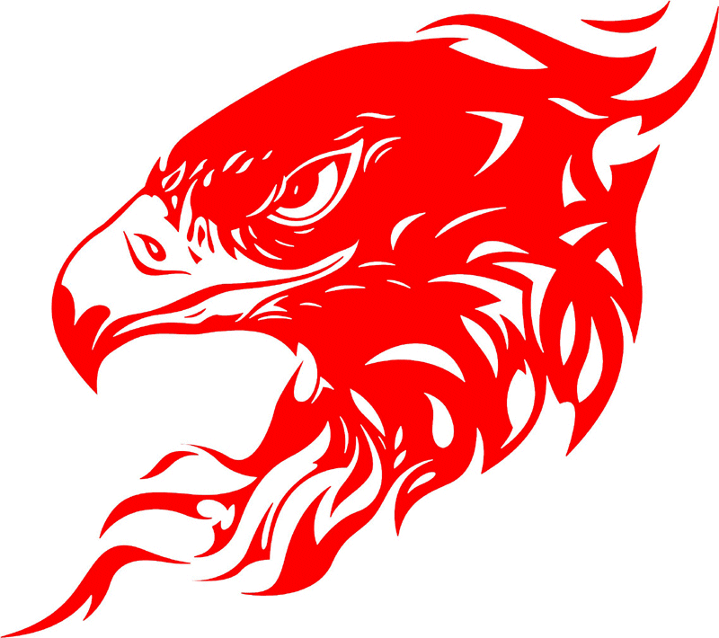 fleh_01 Flaming Eagle Head Graphic Flame Decal