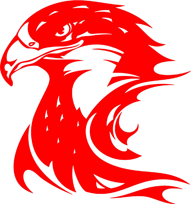 fleh_02 Flaming Eagle Head Graphic Flame Decal