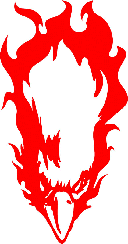 fleh_05 Flaming Eagle Head Graphic Flame Decal