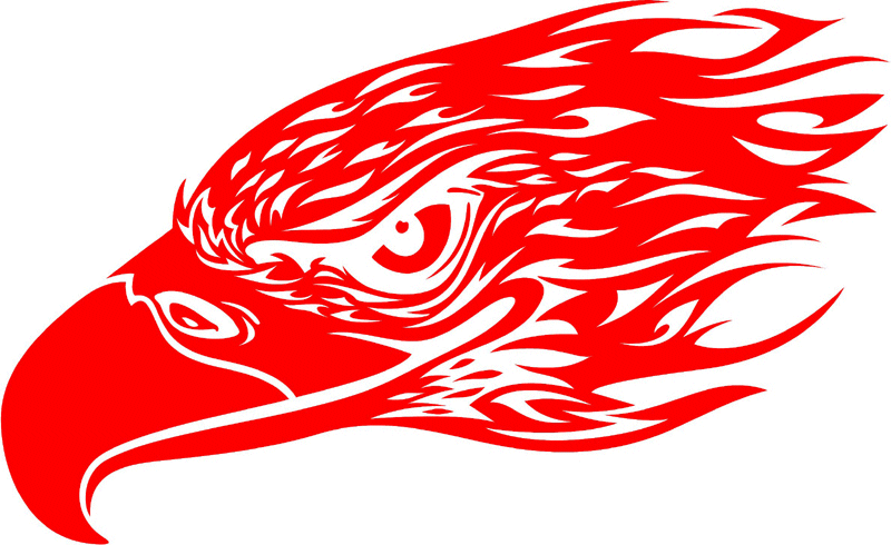 fleh_06 Flaming Eagle Head Graphic Flame Decal