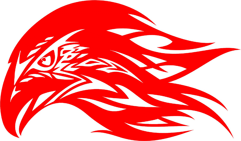 fleh_08 Flaming Eagle Head Graphic Flame Decal