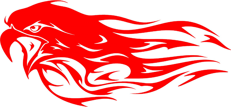 fleh_11 Flaming Eagle Head Graphic Flame Decal