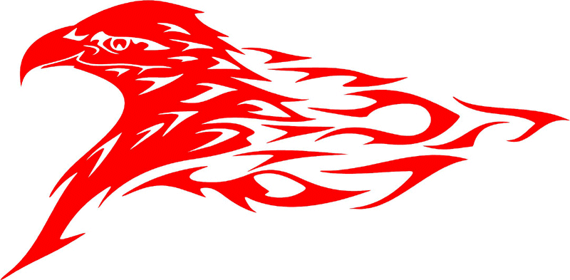 fleh_14 Flaming Eagle Head Graphic Flame Decal