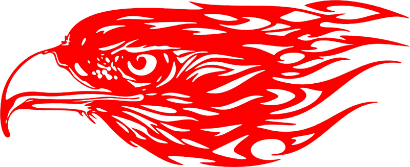 fleh_18 Flaming Eagle Head Graphic Flame Decal