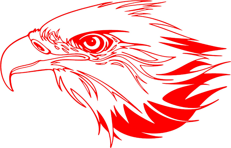 fleh_21 Flaming Eagle Head Graphic Flame Decal