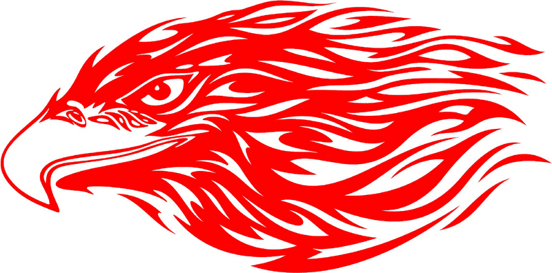 fleh_22 Flaming Eagle Head Graphic Flame Decal