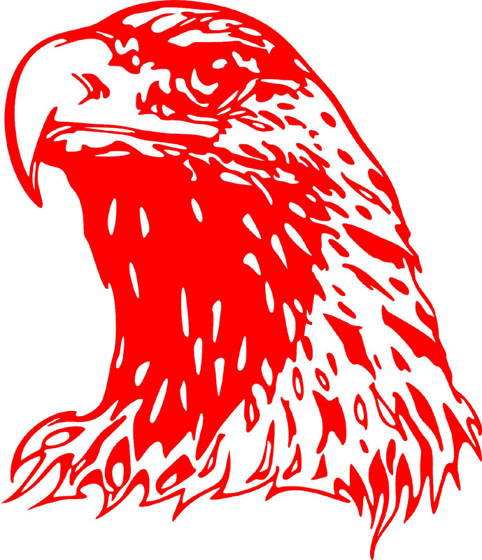 fleh_26 Flaming Eagle Head Graphic Flame Decal