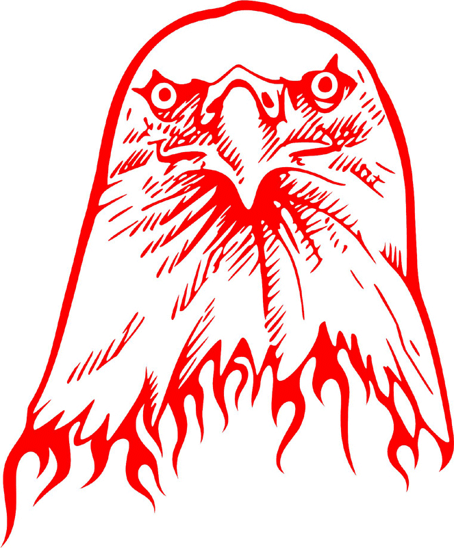 fleh_27 Flaming Eagle Head Graphic Flame Decal