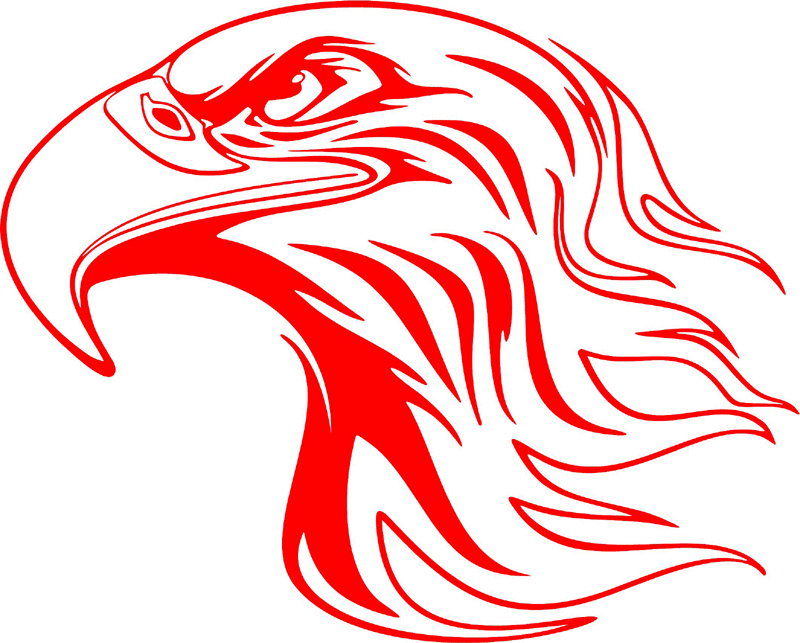 fleh_28 Flaming Eagle Head Graphic Flame Decal