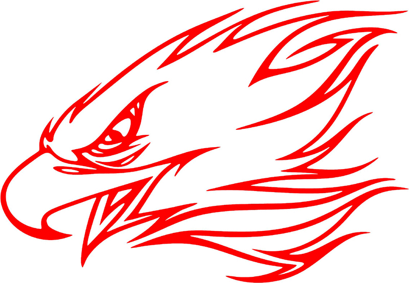 fleh_30 Flaming Eagle Head Graphic Flame Decal
