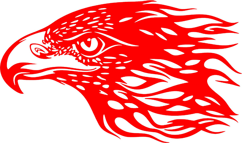 fleh_32 Flaming Eagle Head Graphic Flame Decal