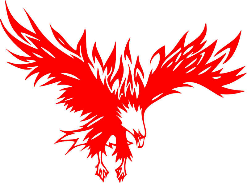 fle_32 Flaming Eagles Graphic Flame Decal
