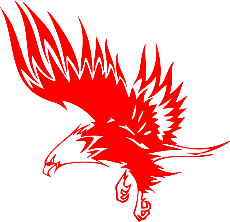 fle_33 Flaming Eagles Graphic Flame Decal