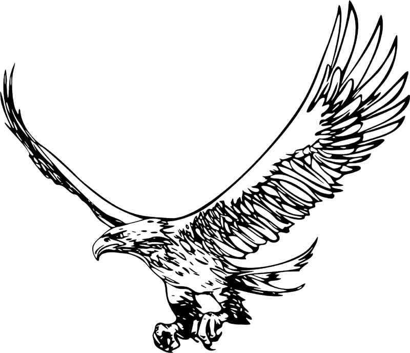 juste_00 Eagle Graphic Flame Decal