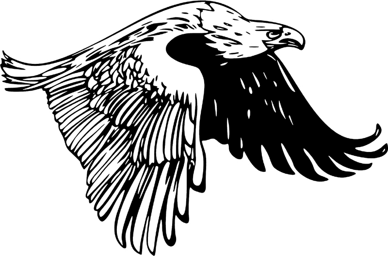 juste_01 Eagle Graphic Flame Decal