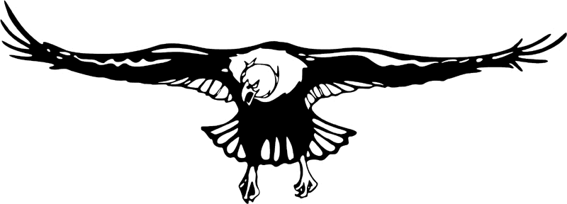 juste_03 Eagle Graphic Flame Decal