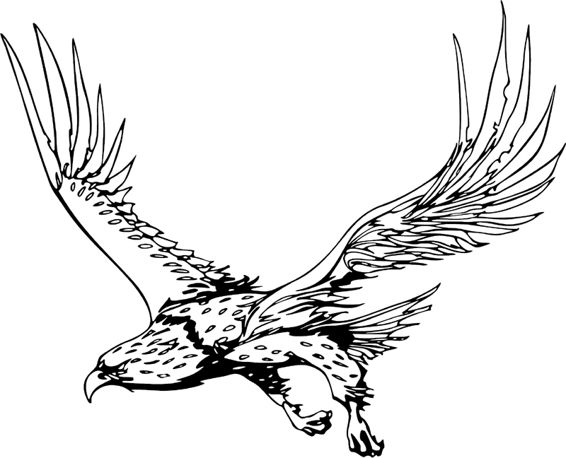 juste_04 Eagle Graphic Flame Decal