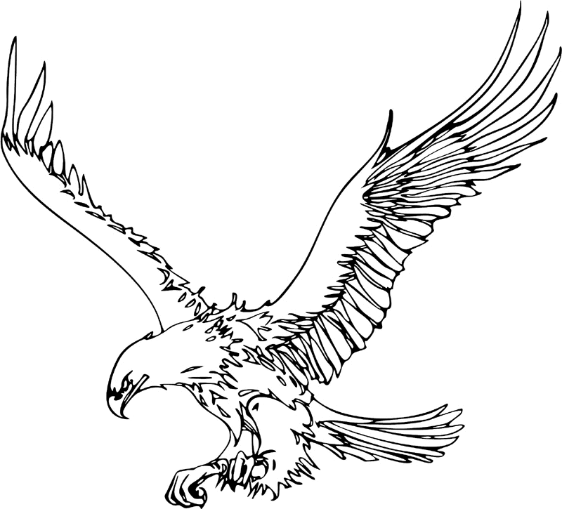 juste_05 Eagle Graphic Flame Decal