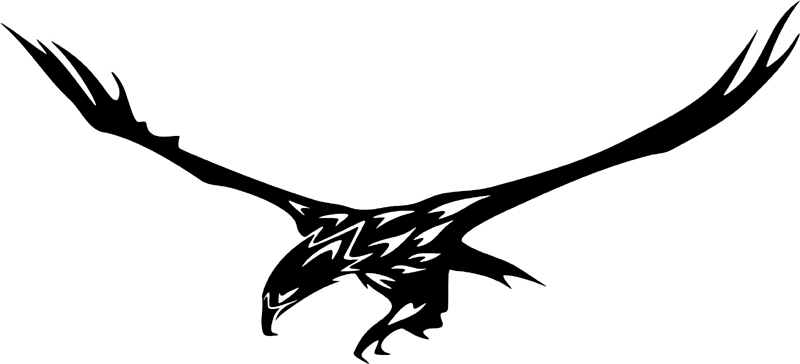 juste_07 Eagle Graphic Flame Decal