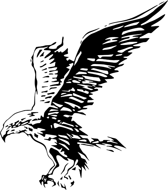 juste_09 Eagle Graphic Flame Decal