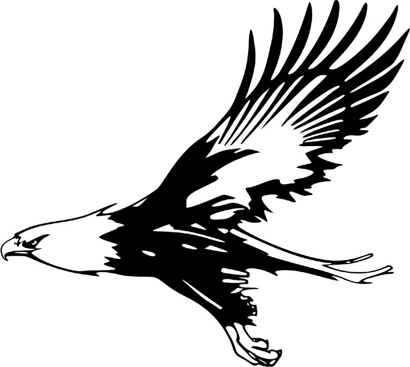 juste_12 Eagle Graphic Flame Decal