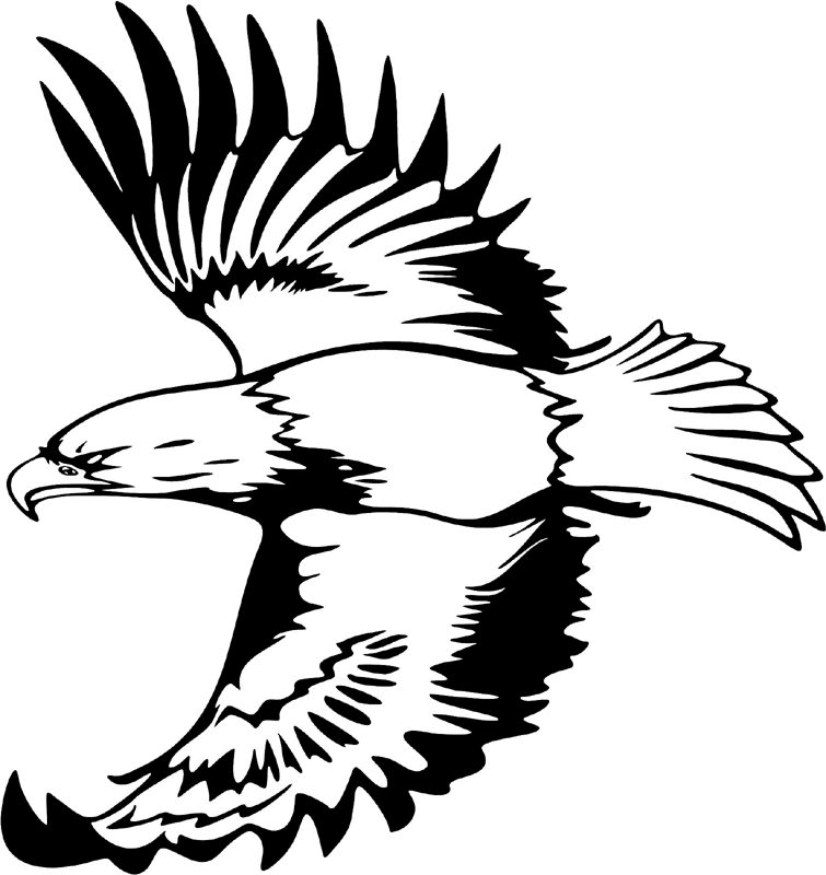 juste_13 Eagle Graphic Flame Decal