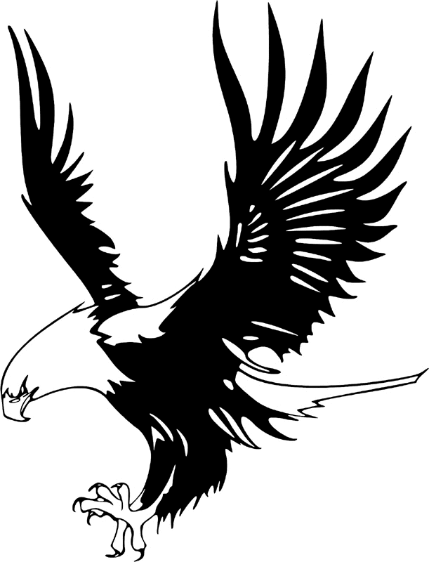 juste_14 Eagle Graphic Flame Decal