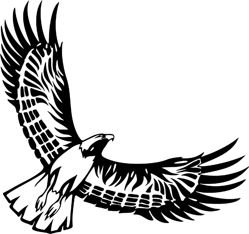 juste_16 Eagle Graphic Flame Decal